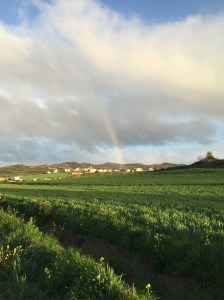Rainbow rising from Villatuerta