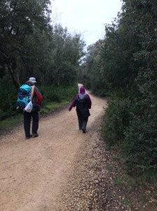 If you go down to the woods today!!!