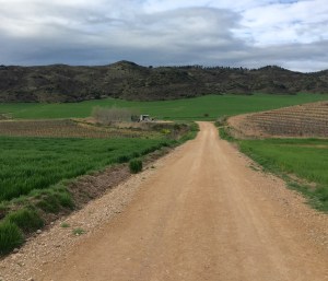 Mobile Coffee shop on the horizon