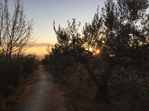 Walking into the sunrise