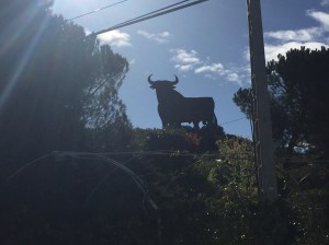 Iconic bull on the hill