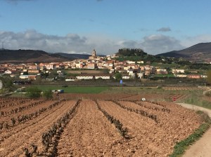 The town of Navarette