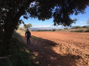 Red earthen path through the fields
