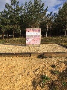 Remains of 30 people discovered here