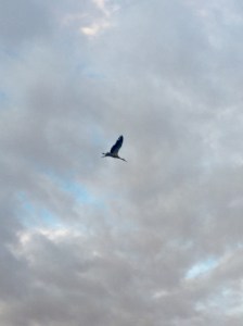 Burgos Crane on the skyline