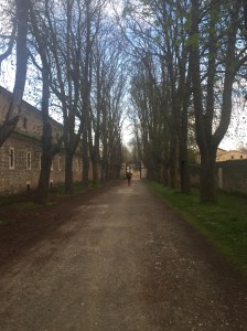 Parque El Parrel, Burgos