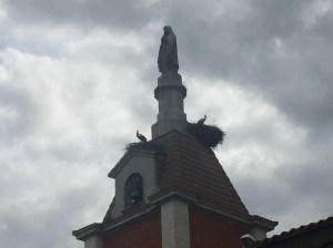 Cranes nesting on the Church in Tardajos