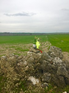 An untold story on the Meseta
