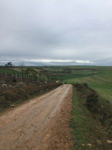 Wide expanse of the Meseta