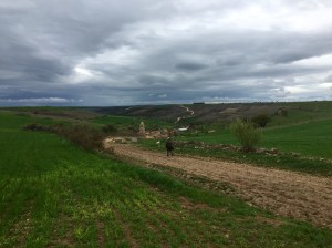 The path to Hontanas