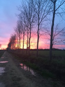 Sunrise as we leave Boadillo del Camino