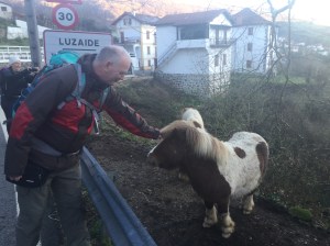 Getting to know the locals