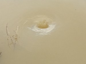 Whirlpool