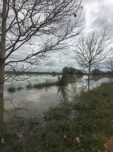 Flooding all around us