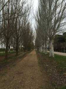 Charlemagne's Lances