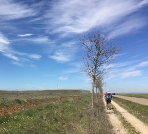 Light airplane landing near Religios