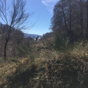 First view of Roncavalles