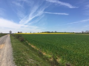 Crop fields and wispy clouds near Chozas de Abajo