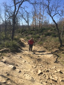 Rocky path on the way to Rabanal Del Camiño