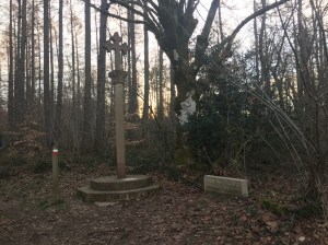 Oakwood of witches cross