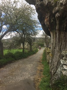 The path leading into Paradela
