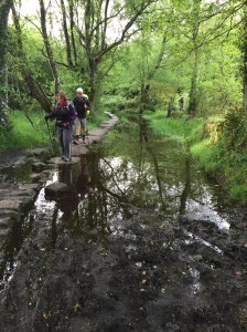 Kelly on the rocky road