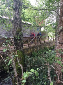 On the way to Monte de Gozo